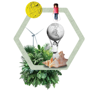 Presentació del nou RRII