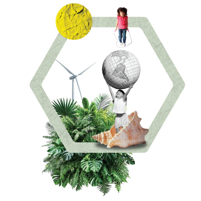 Imatges WEB quadrades