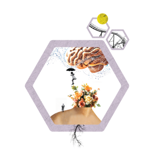 Preparació oee 26-27